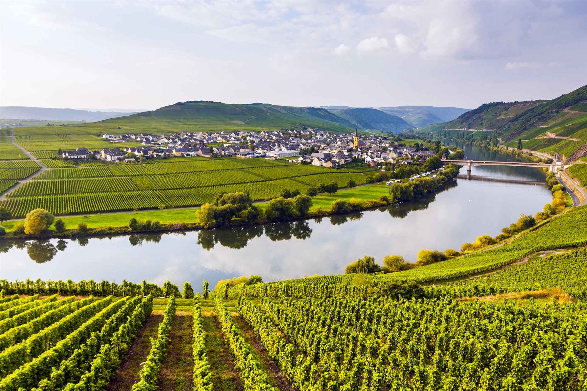 Champagne on a river cruise ship railing above the vineyards